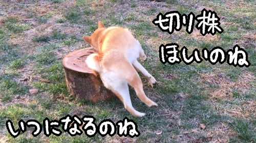 4bv0o4hx