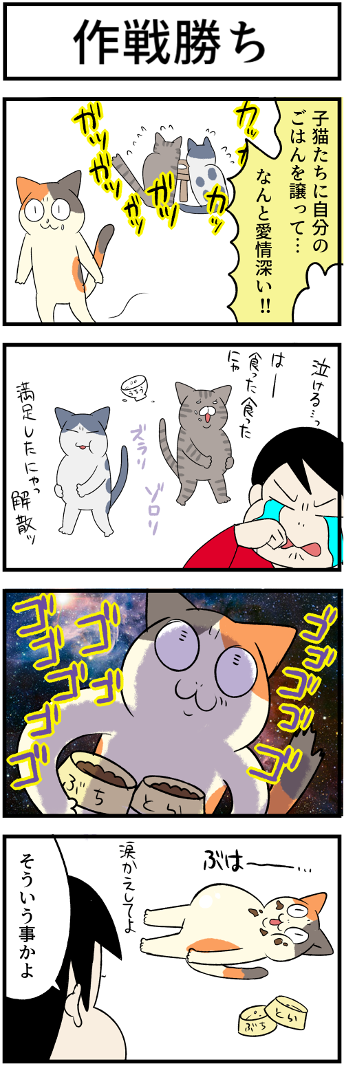 20230828譲る母2-1