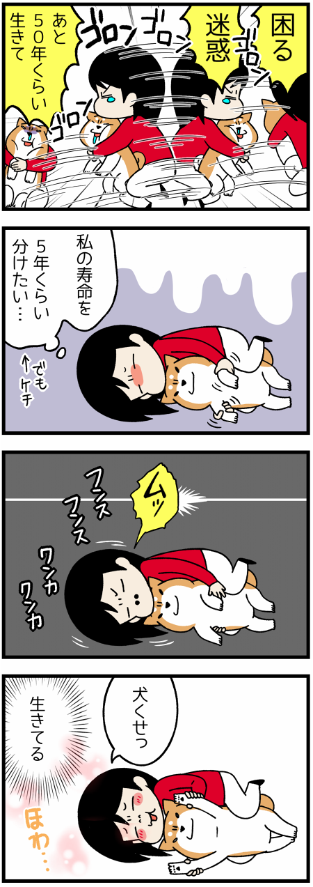 201706161つの苦情2