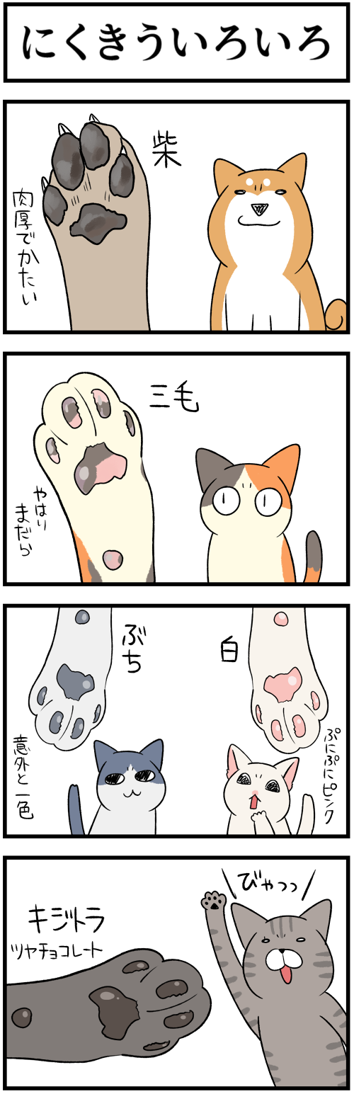 20220825にくきういろいろ1
