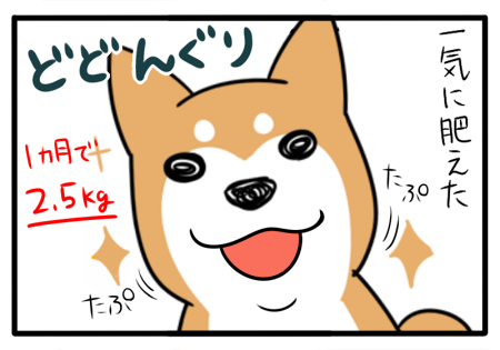 5.png