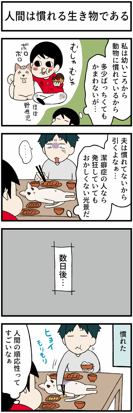 20211030テーブル猫2