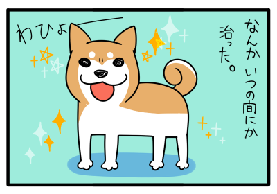 ふわっとハゲて ふわっと治った 柴犬どんぐり三毛猫たんぽぽ Powered By ライブドアブログ ふわっとハゲて ふわっと治った 柴犬どんぐり三毛猫たんぽぽ Powered By ライブドアブログ