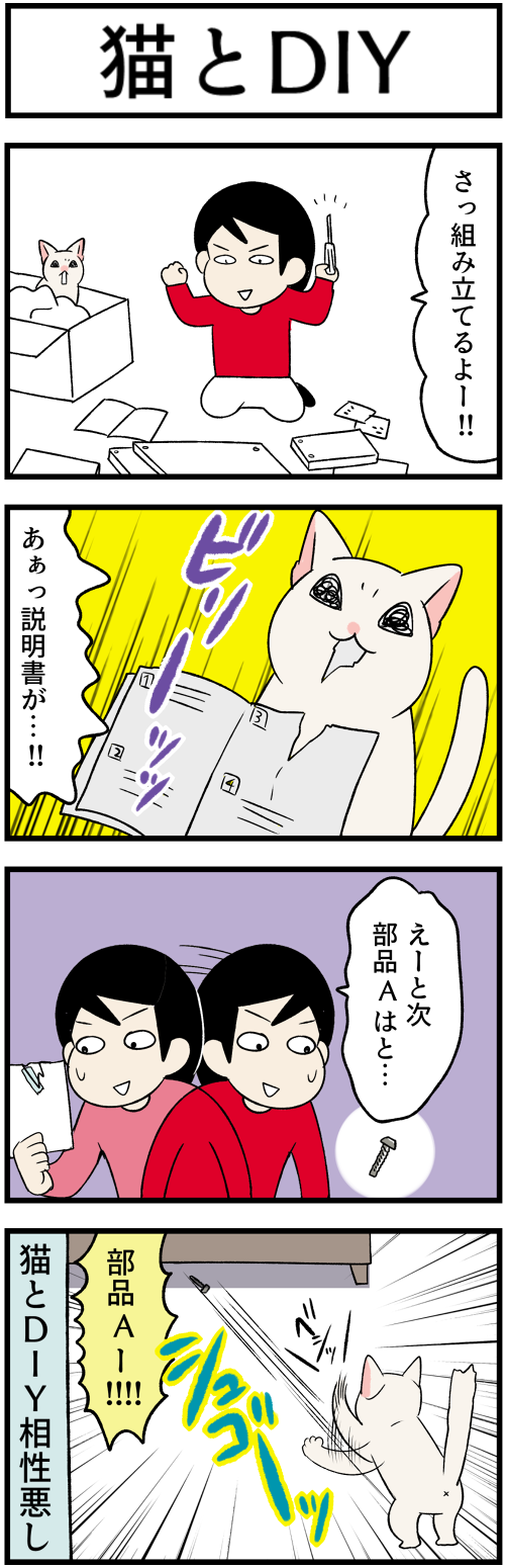 20230511猫とDIY1
