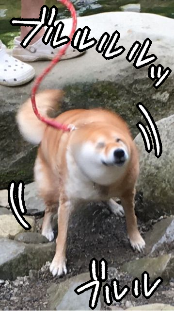yukpngwm