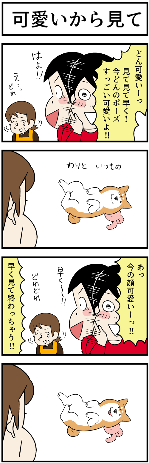 20230730可愛いから見て1