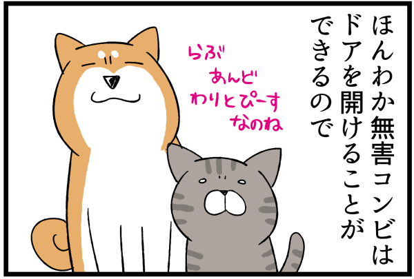 20260611おしばよし3