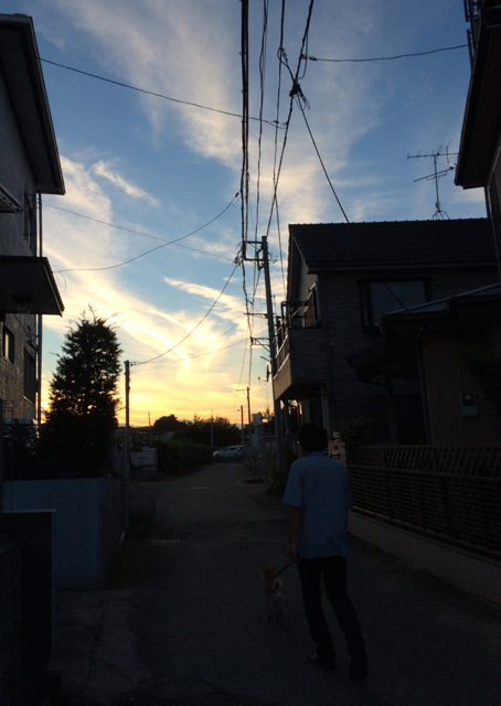 D710C068-4396-47F6-B7E0-C9777AC71735.jpg