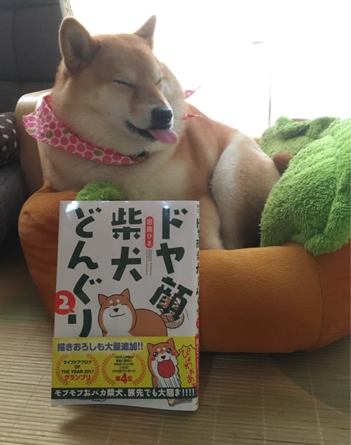 本日発売 ドヤ顔柴犬どんぐり2巻 柴犬どんぐり三毛猫たんぽぽ Powered By ライブドアブログ 本日発売 ドヤ顔柴犬どんぐり2巻 柴犬どんぐり三毛猫たんぽぽ Powered By ライブドアブログ