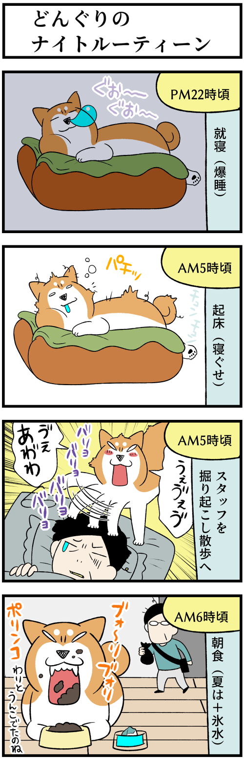 20220913どんぐりナイトルーティーン1