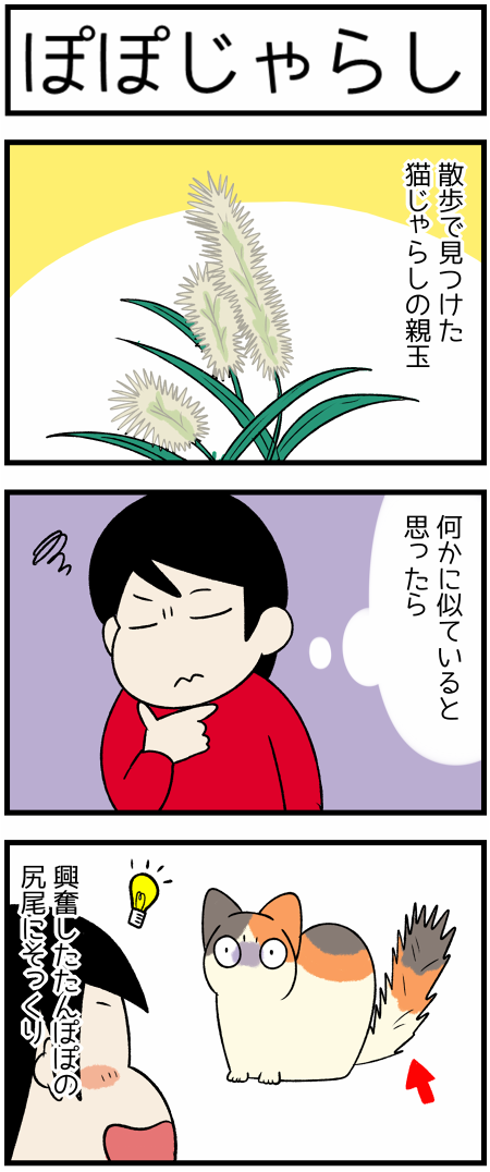 20200921ぽぽじゃらし1