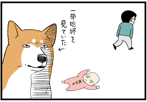 20230522カウントする父2