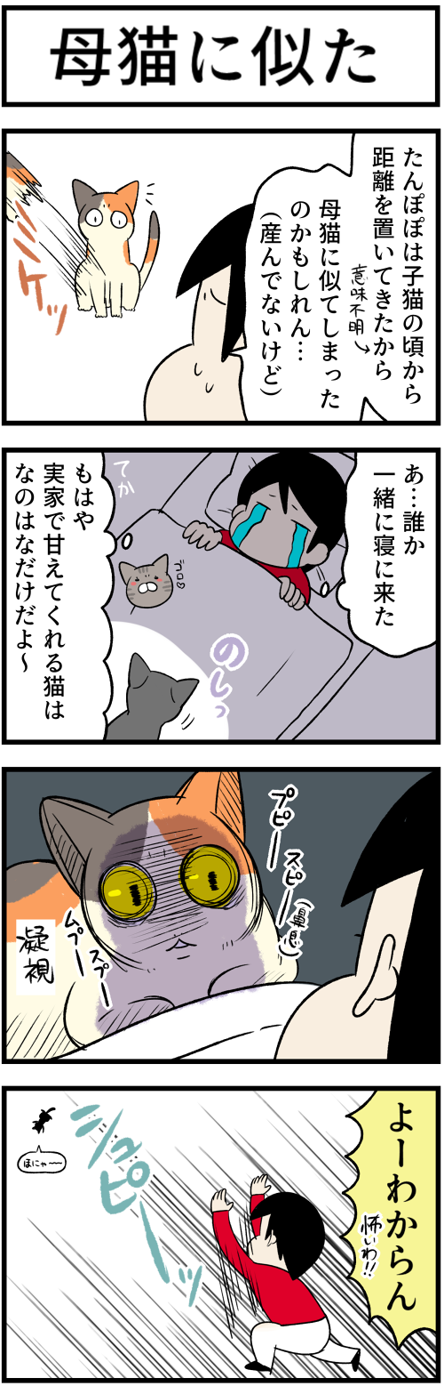 20230412なぜか急に2