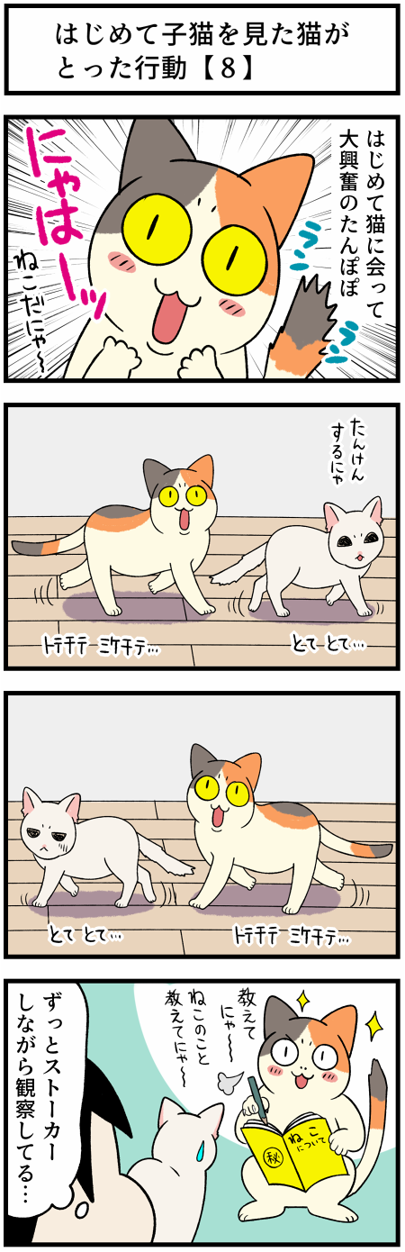 20210923ストーカーねこ1