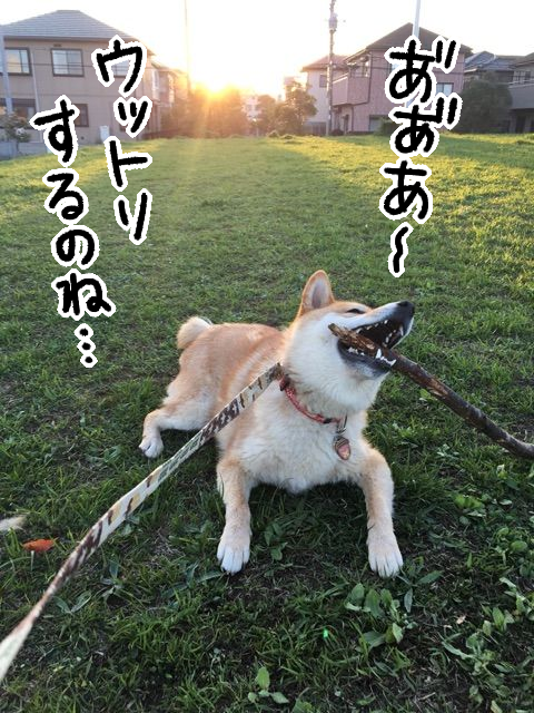 lp4j94jn
