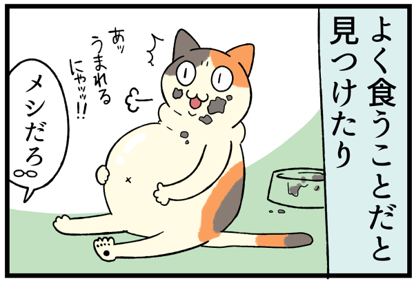 20260512育てやすさ3