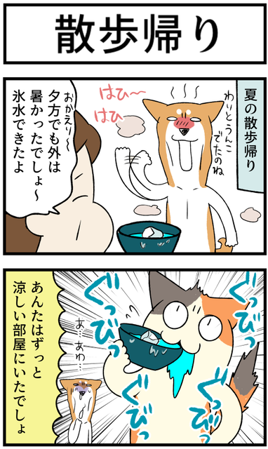 20230719夏の散歩帰り1