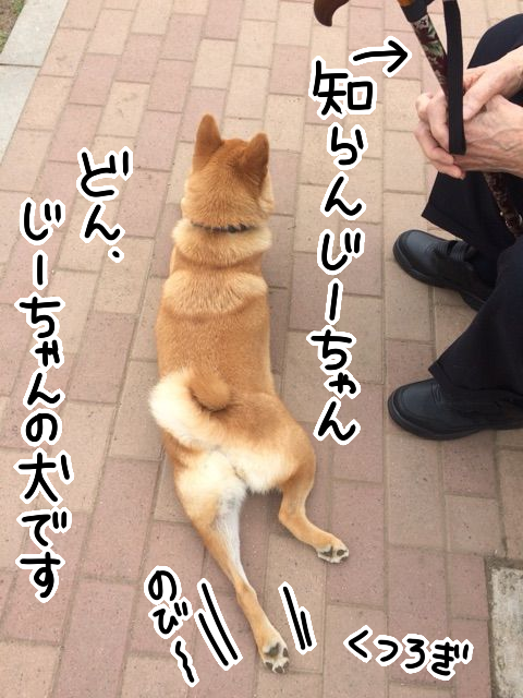qkbemzsw