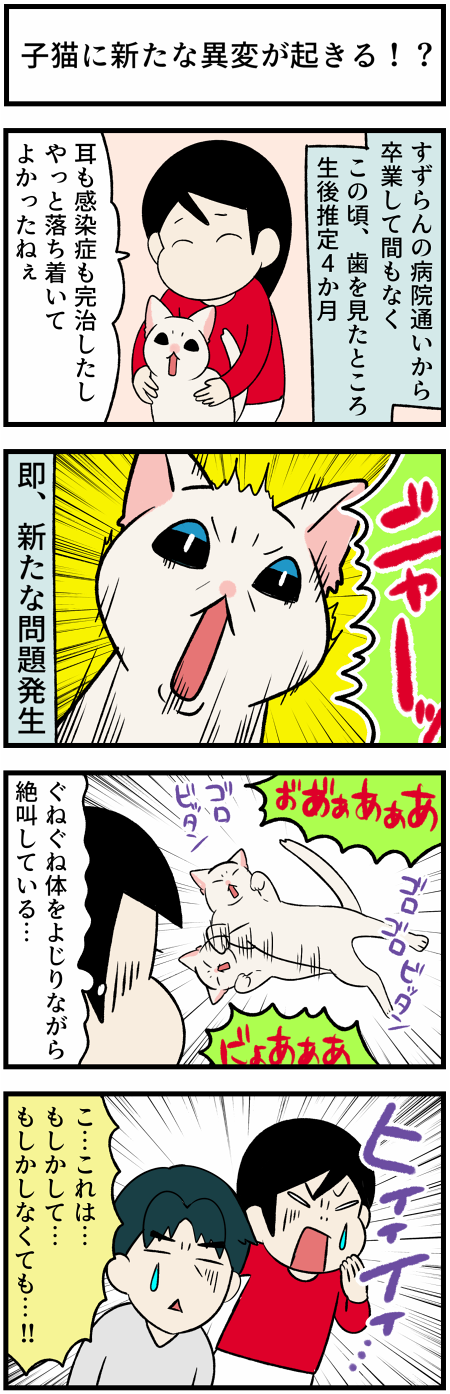 202120923発情期1