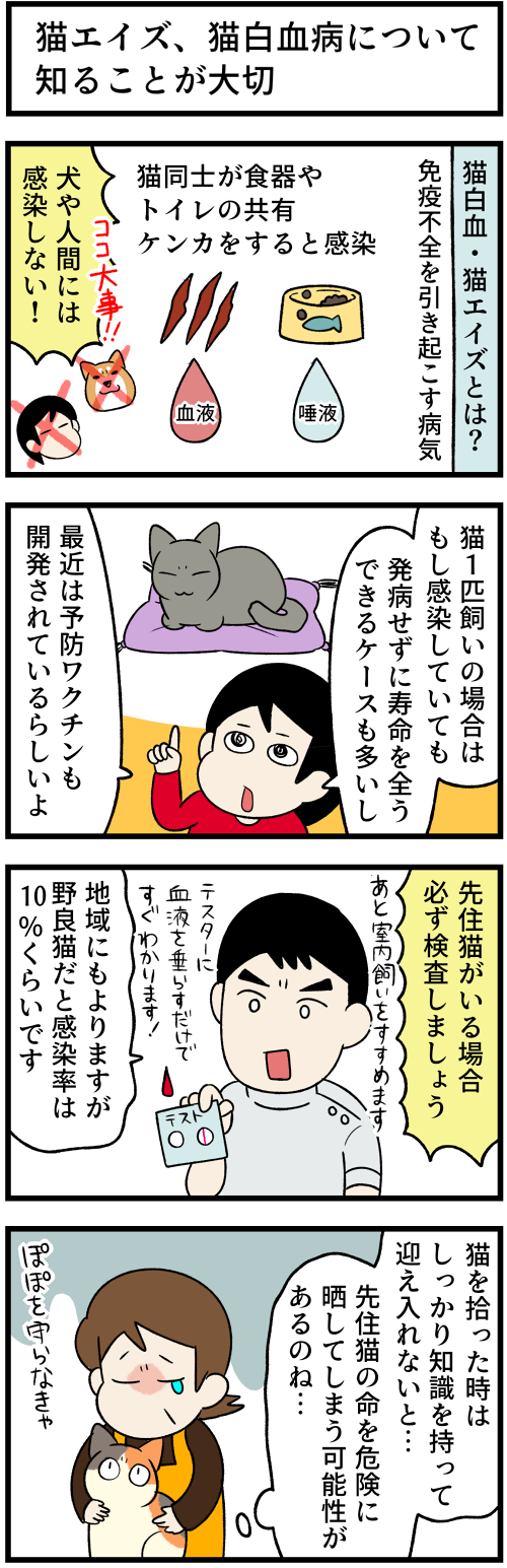 20211229運命の子猫４1