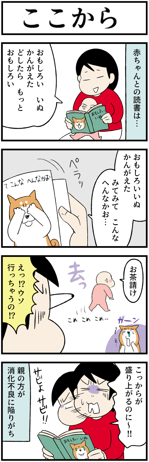 20231116ここから1