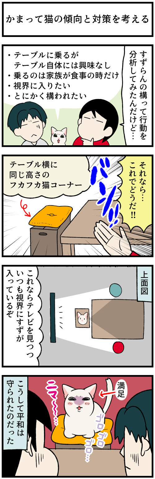 20211104構って猫1