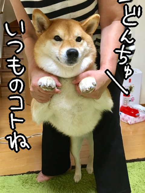 5mg1j0hz