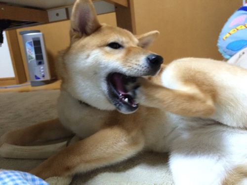 c79c0a1a.jpg