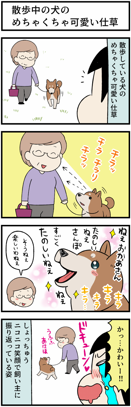 20211028犬の散歩の仕草1