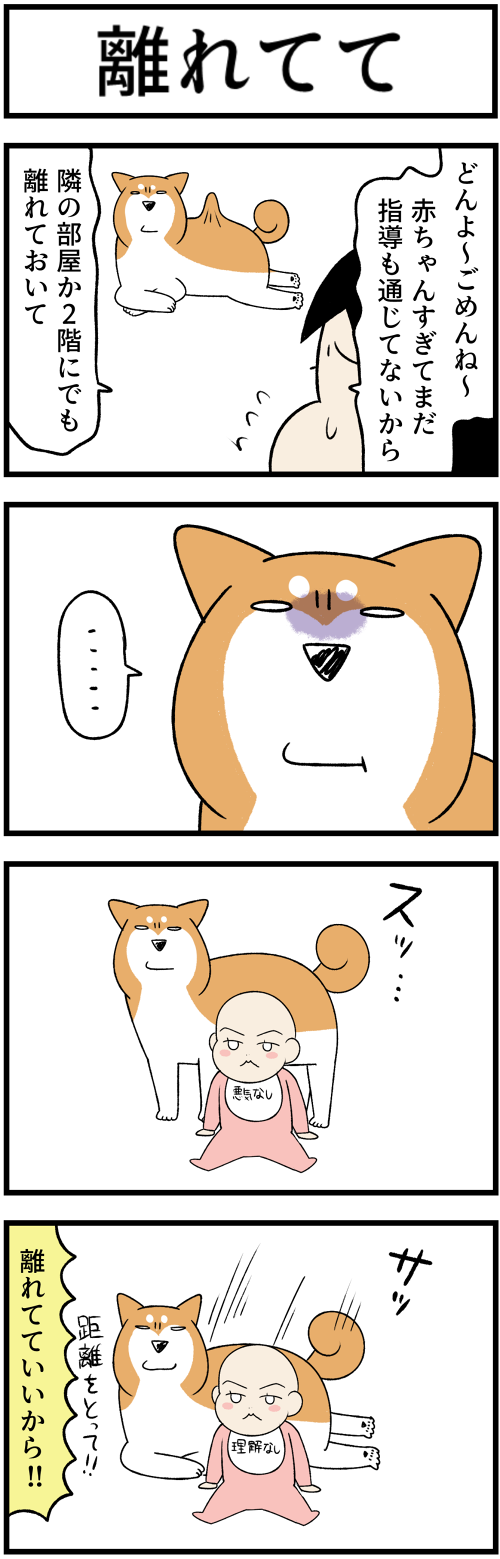 20230806教育的指導2