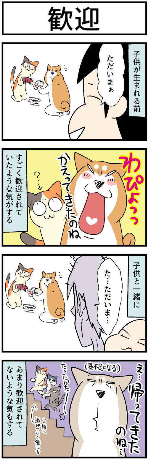 20231004歓迎1