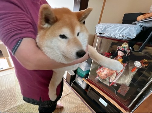 FullSizeRender