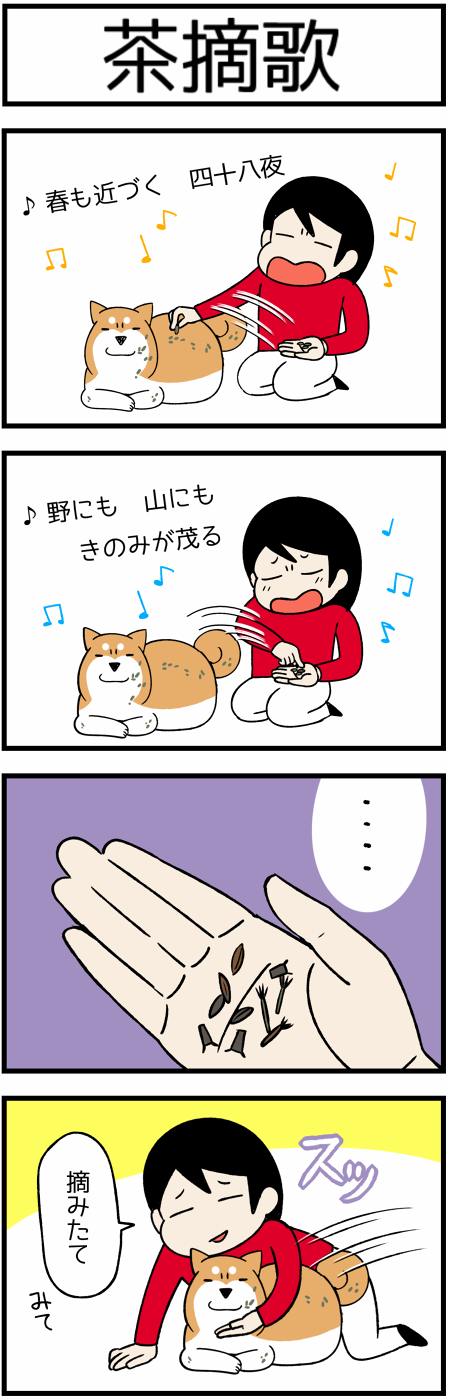 20180317茶摘み歌1