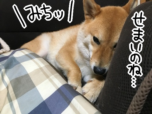 lj3wve7p