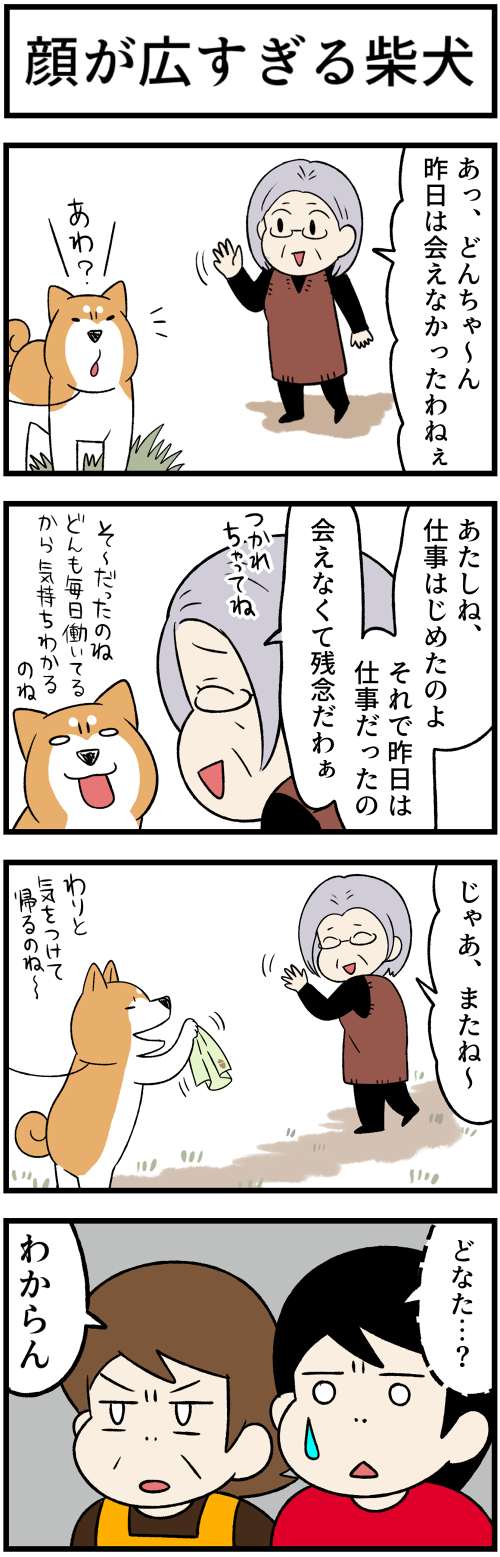 20220418親しそうな柴犬1