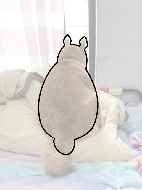 rjxz1ylm