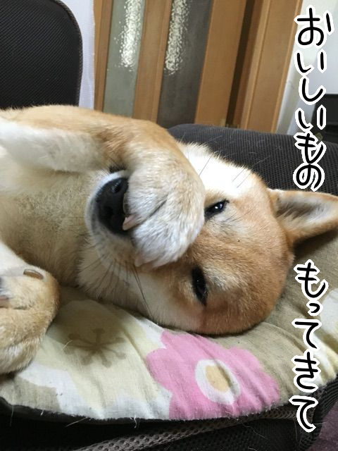 f7g4fkwp