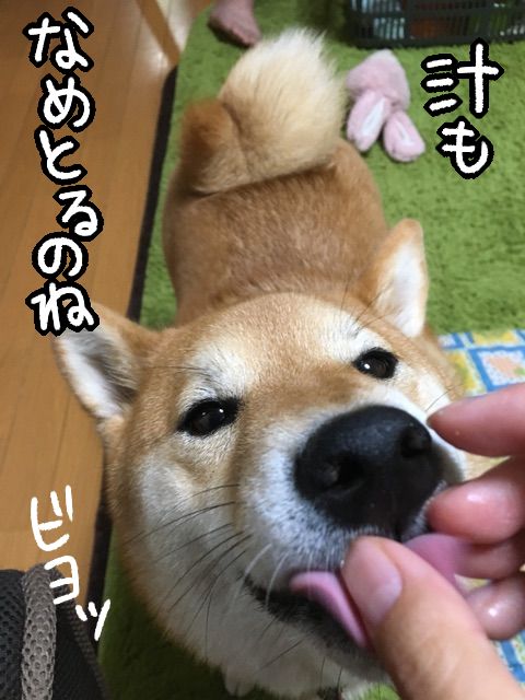 mdjc46w0