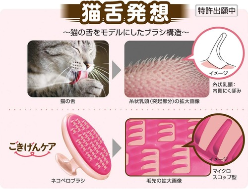 71xmv-bp2uL._AC_SL1365_