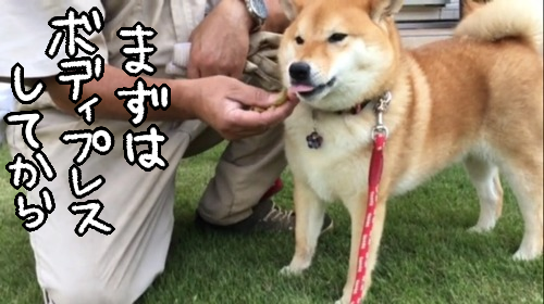 za96h8sh