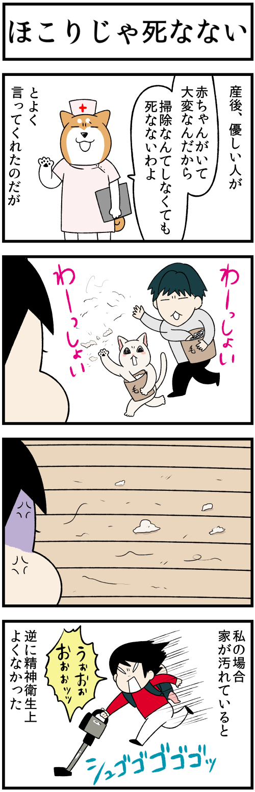 20230727ほこりじゃ死なない1