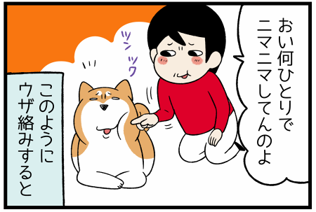 自由自在に百面相ができる柴犬に飼い主がウザ絡みをすると 柴犬どんぐり三毛猫たんぽぽ Powered By ライブドアブログ