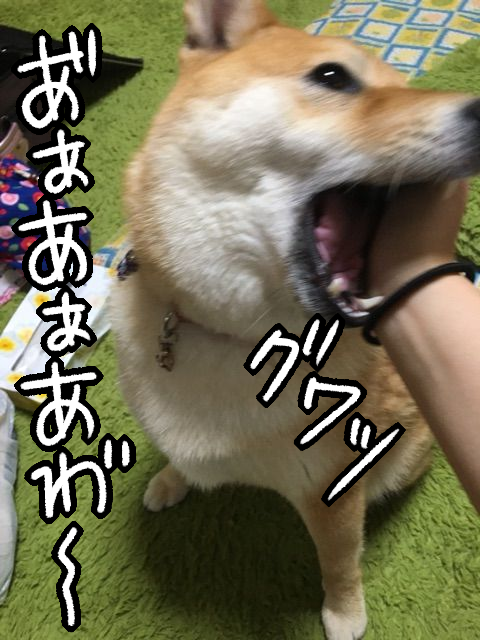 cy020wer