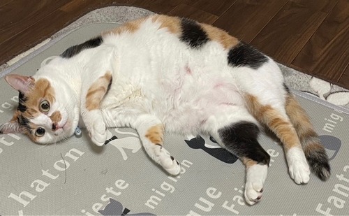 FullSizeRender