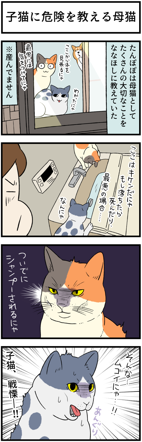 20220607母の教え1