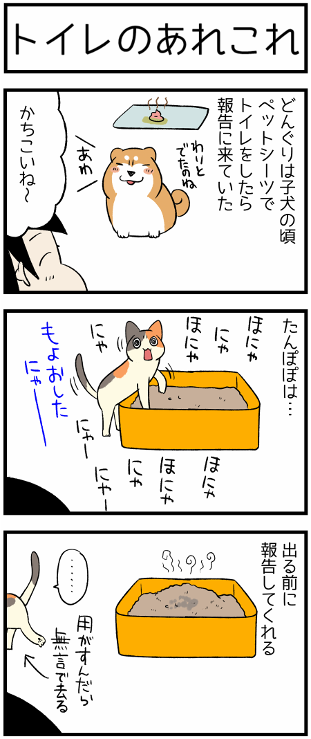 20191019トイレ1