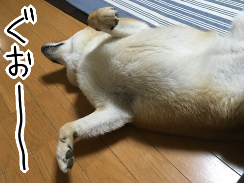 3diuhbw4