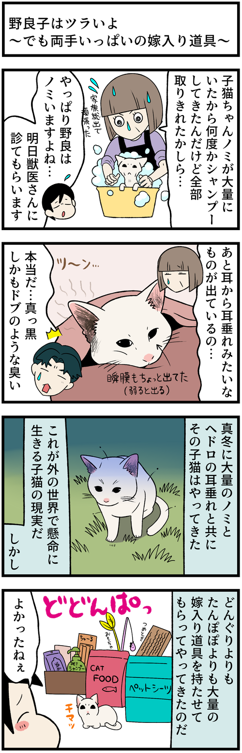 20210529嫁入り道具１
