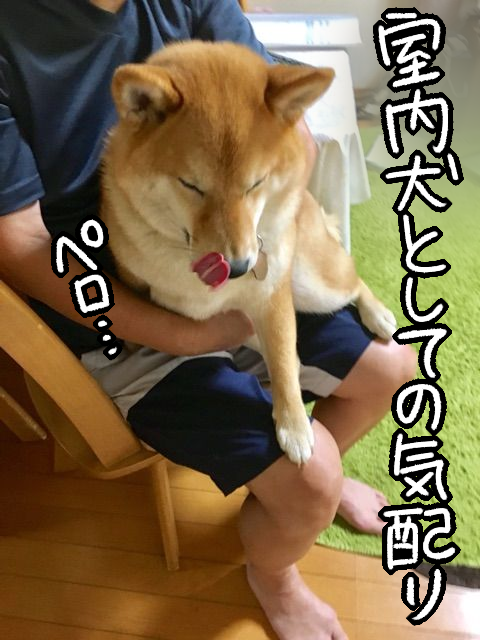 0r3fghxl