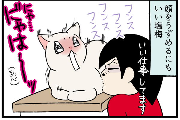 20260701スーちゃんのお気に入り3